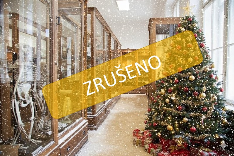 Příběhy Hrdličkova muzea