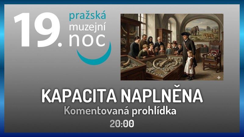 Muzejní noc: Komentovaná prohlídka