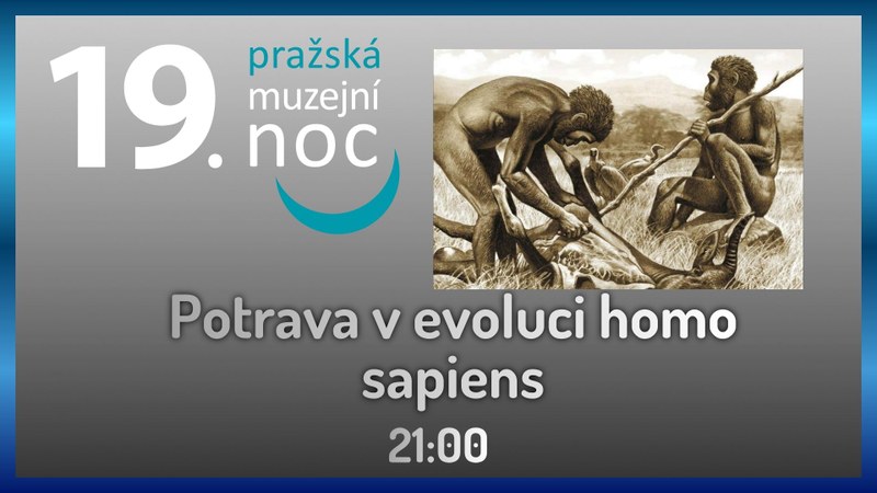 Muzejní noc: Potrava v evoluci homo sapiens