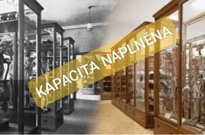 Cesty minulostí: Historie muzea a jeho sbírek