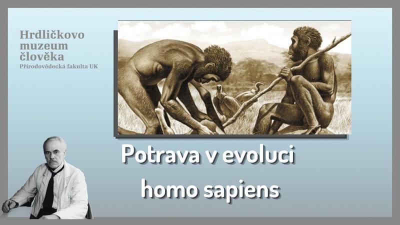 Potrava v evoluci homo sapiens