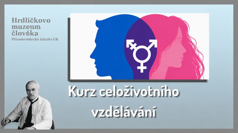 Pohlaví, gender a transgender