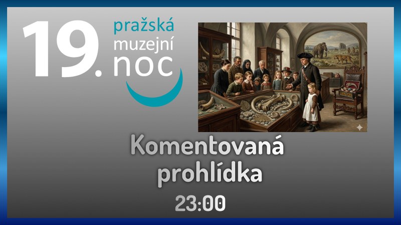 Muzejní noc: Komentovaná prohlídka