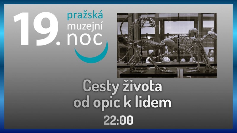 Muzejní noc: Cesty života - od opic k lidem