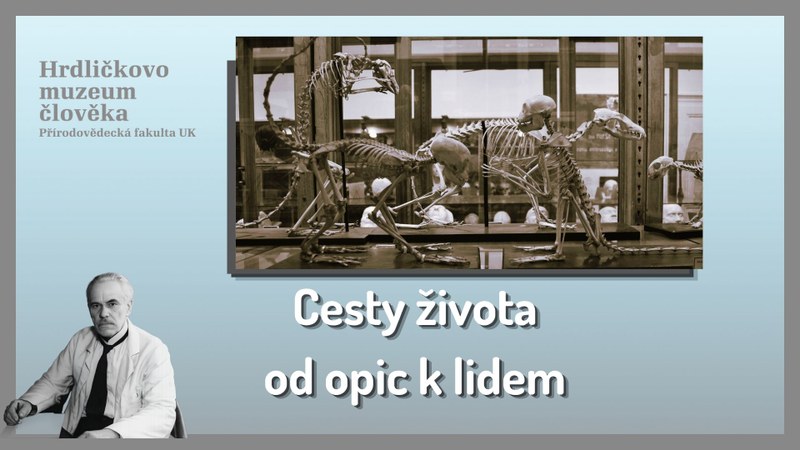 Cesty života: od opic k lidem