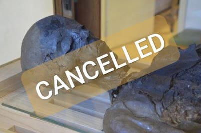 Mummification in Ancient Egypt
